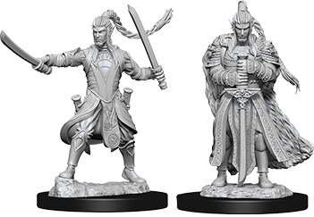Male Elf Paladin