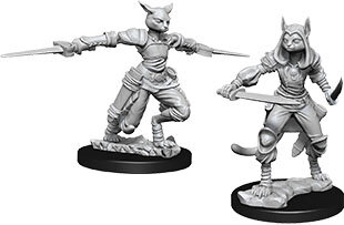 Female Tabaxi Rogue