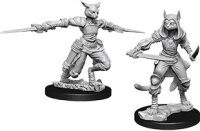 Female Tabaxi Rogue