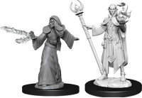 Male Elf Wizard