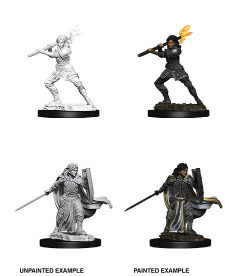 Female Human Paladin