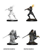 Female Human Paladin