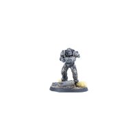 Fallout: Wasteland Warfare - Order of the Shield (EN)