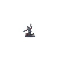 Fallout: Wasteland Warfare - Order of the Shield (EN)