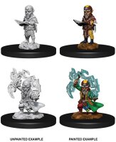 Pathfinder Deep Cuts Mini.: Male Gnome Sorcerer