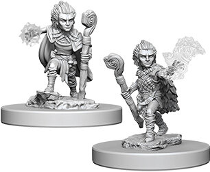 Pathfinder Deep Cuts Mini.: Gnome Male Druid
