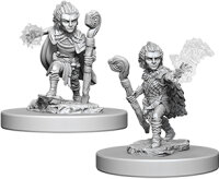 Pathfinder Deep Cuts Mini.: Gnome Male Druid