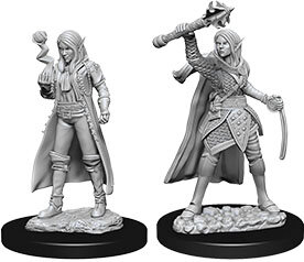 Female Elf Cleric