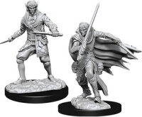 Pathfinder Deep Cuts Mini.: Male Elf Rogue