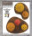Large Autumn Wood - 28mm