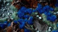 Alien Blue 6mm - Wild