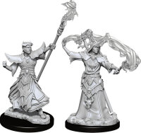 Pathfinder Deep Cuts Mini.: Male Human Sorcerer