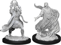 Male Elf Sorcerer