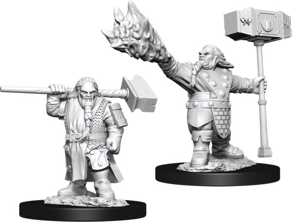 Male Dwarf Cleric
