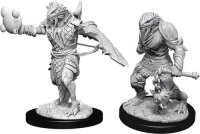 Male Dragonborn Paladin