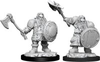 Male Dwarf Fighter