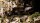 Tiny Tufts Dark Moss (2mm)
