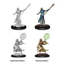 Female Elf Wizard