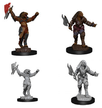 Female Dragonborn Fighter