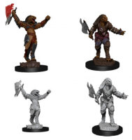 Female Dragonborn Fighter