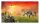 Battlefronts Art of War