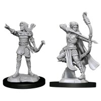 Elf Ranger Female