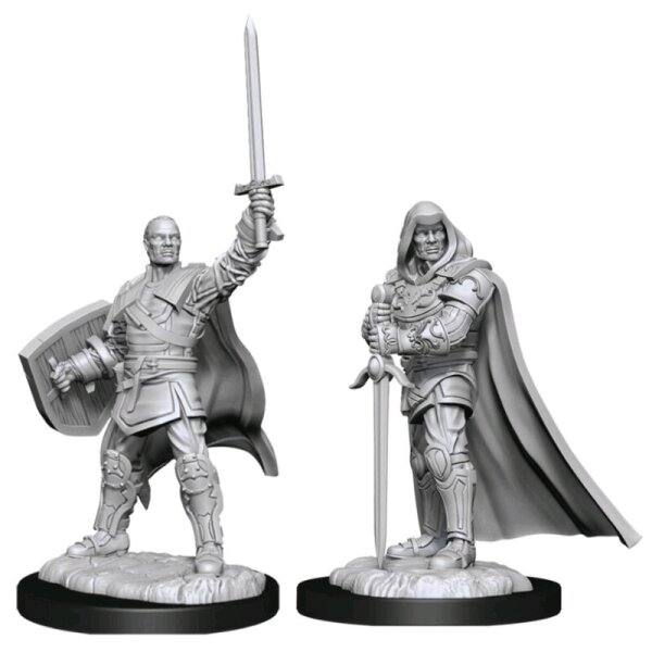 Human Paladin Male