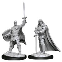 Human Paladin Male