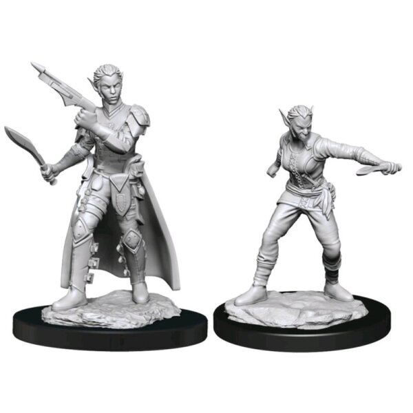 Shifter Rogue Female