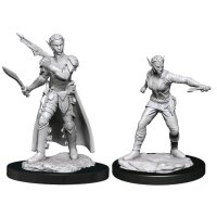 Shifter Rogue Female