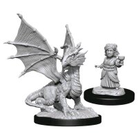 Silver Dragon Wyrmling & Halfling Dragon Friend