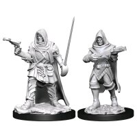 Pathfinder Deep Cuts Mini.: Human Rogue Male