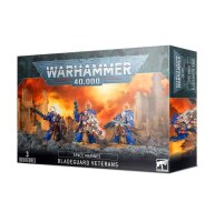 Space Marines: Primaris Klingengarde-Veteranen