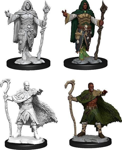 Human Druid Male