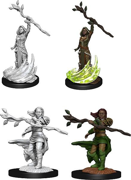 Human Druid Female