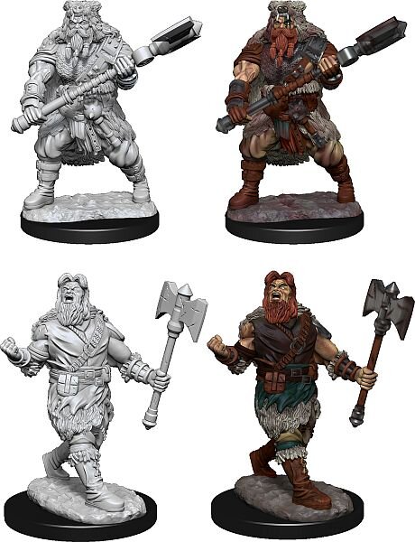 Human Barbarian Male