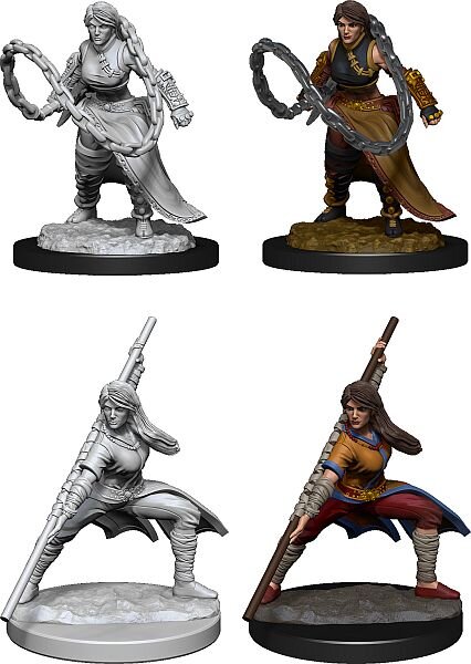 Human Monk Female