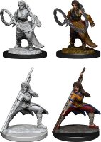 Human Monk Female