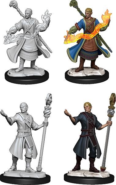 Half-Elf Wizard Male