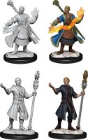 Half-Elf Wizard Male