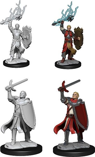 Half-Elf Paladin Male