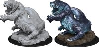 Frost Salamander