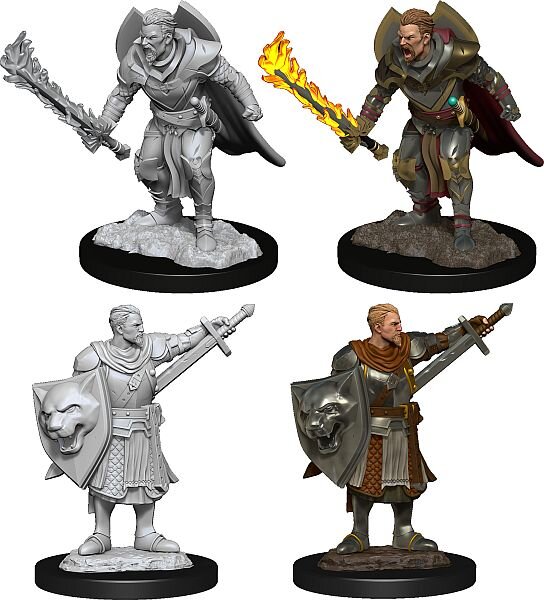Pathfinder Deep Cuts Mini: Human Champion Male