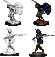 Pathfinder Deep Cuts Mini: Human Rogue Female