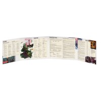 D&D Dungeon of the Mad Mage - DM Screen (EN)