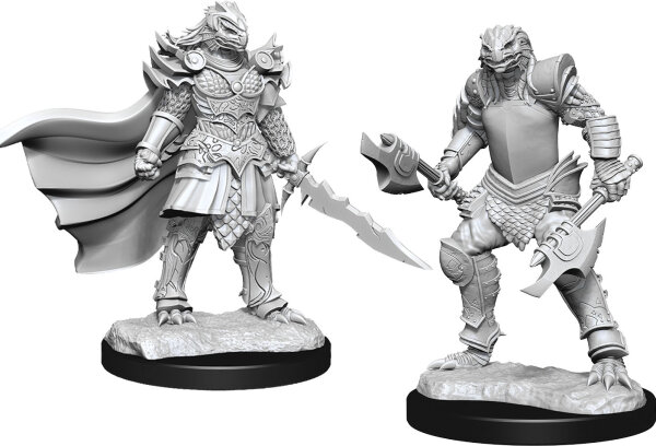 Dragonborn Fighter Female