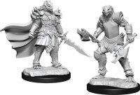 Dragonborn Fighter Female