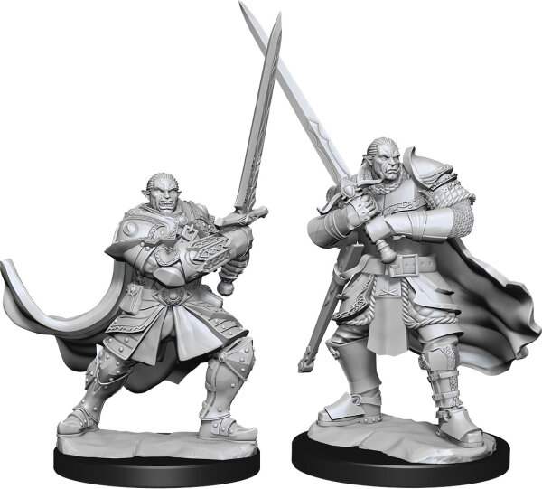 Half-Orc Paladin Male