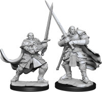 Half-Orc Paladin Male