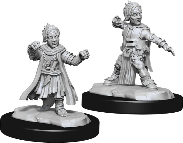 Pathfinder Deep Cuts Mini: Halfing Monk Male